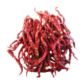 Высокое качество и Red Yidu Chili для продажи